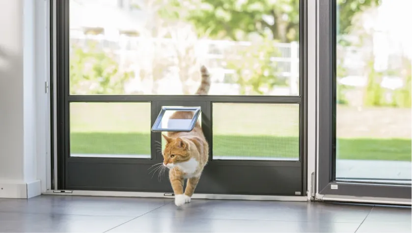 Insektenschutz Drehtür mit Katzenklappe für Terrasse oder Balkon